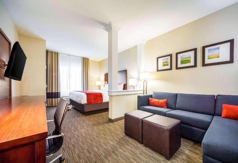 스위트 킹사이즈 침대, Comfort Inn & Suites North Platte I80