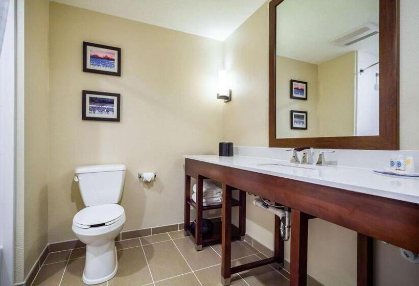 스위트, Comfort Inn & Suites North Platte I80