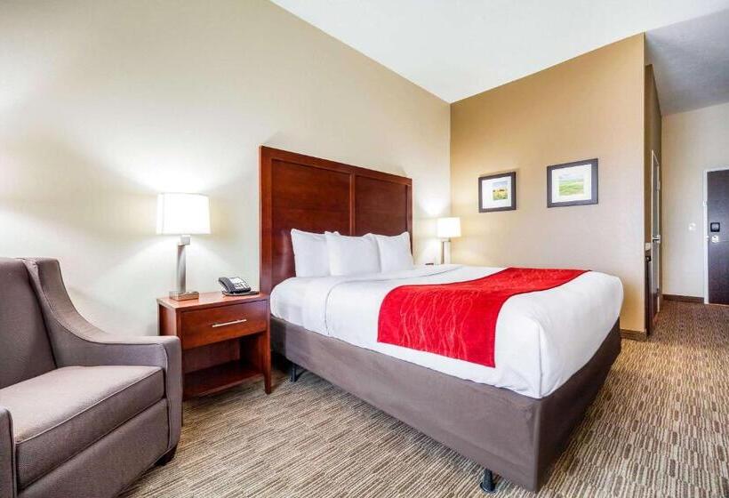 장애인을 위한 스탠다드 룸, Comfort Inn & Suites North Platte I80