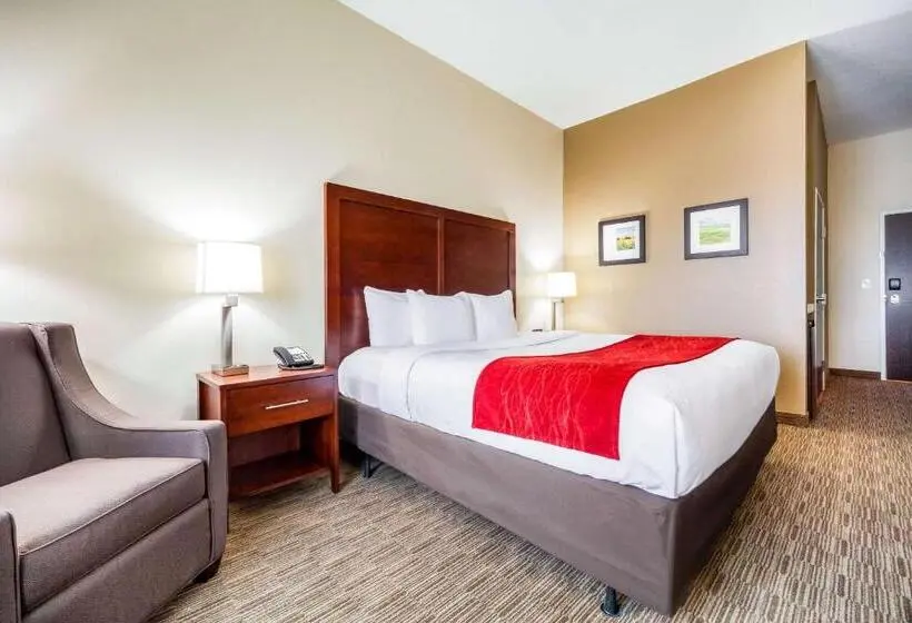 اتاق استاندارد برای معلولان, Comfort Inn & Suites North Platte I80