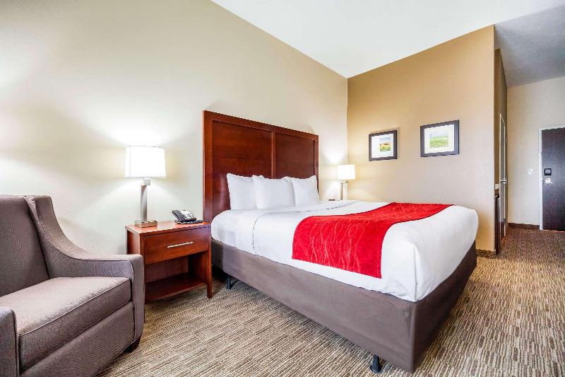 장애인을 위한 스탠다드 룸, Comfort Inn & Suites North Platte I80