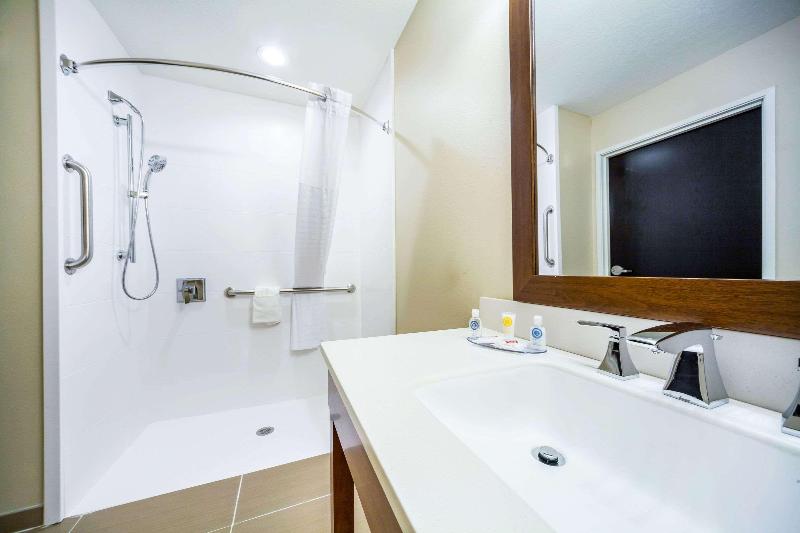 장애인을 위한 스탠다드 룸, Comfort Inn & Suites North Platte I80