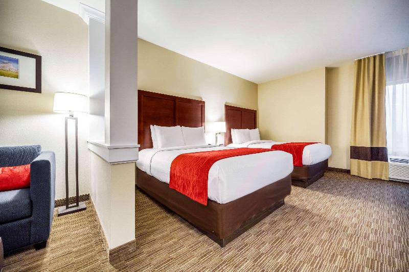 适合残疾人使用的标准间, Comfort Inn & Suites North Platte I80