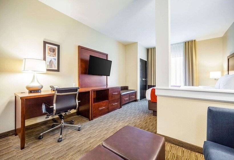 스위트, Comfort Inn & Suites North Platte I80