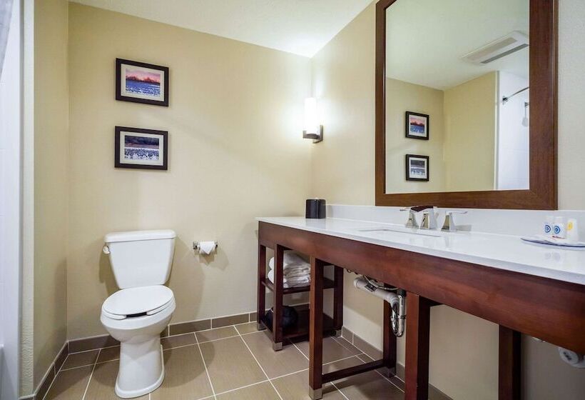 스위트, Comfort Inn & Suites North Platte I80