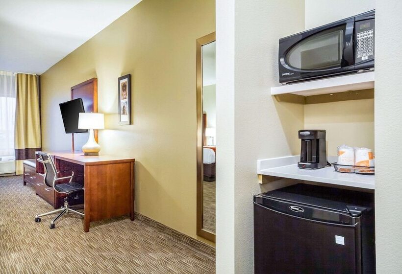스위트, Comfort Inn & Suites North Platte I80