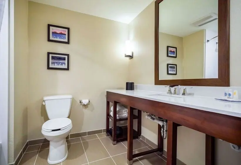 سوئیت برای معلولان, Comfort Inn & Suites North Platte I80