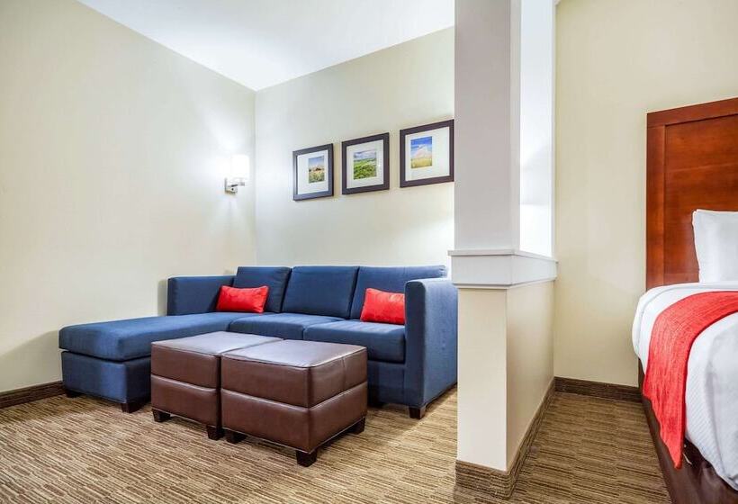 适合残疾人士使用的套间, Comfort Inn & Suites North Platte I80