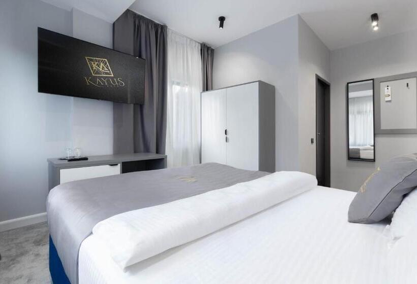 수피리어 룸, Kayus