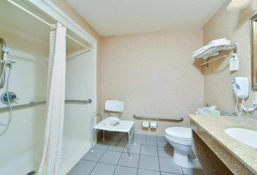 身障者適用キングサイズベッドルーム, Best Western Plus Meridian
