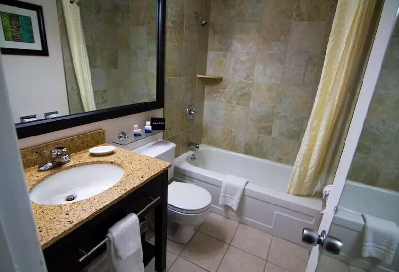سوئیت با وان آب گرم, Best Western Plus Plattsburgh