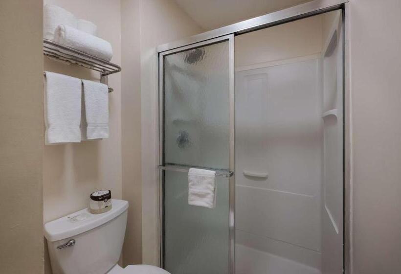 Номер Стандарт, SureStay Plus by Best Western Woodbury Inn