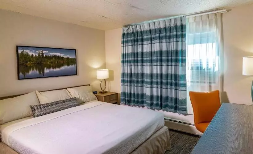 キングサイズベッドのスタンダードルーム, Bridgewater Hotel, Trademark Collection By Wyndham