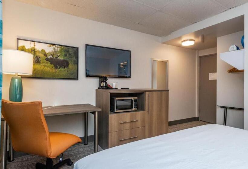Номер Стандарт Адаптированный для Инвалидов, Bridgewater Hotel, Trademark Collection By Wyndham