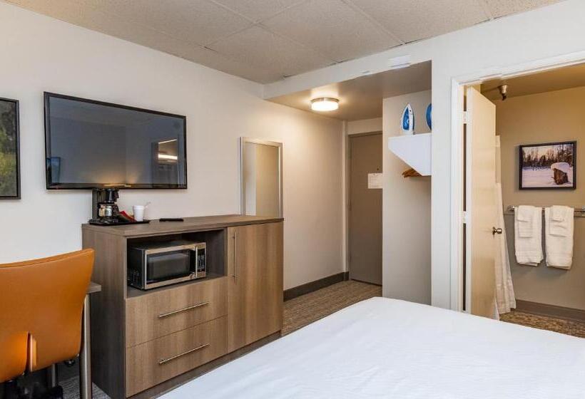 장애인을 위한 스탠다드 룸, Bridgewater Hotel, Trademark Collection By Wyndham