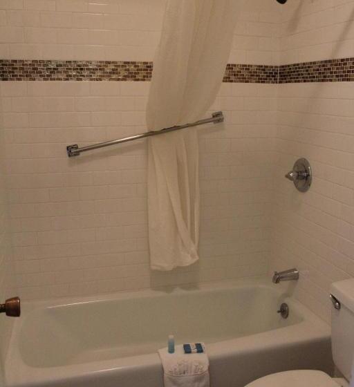 غرفة ديلوكس, Chaparral Motor Inn