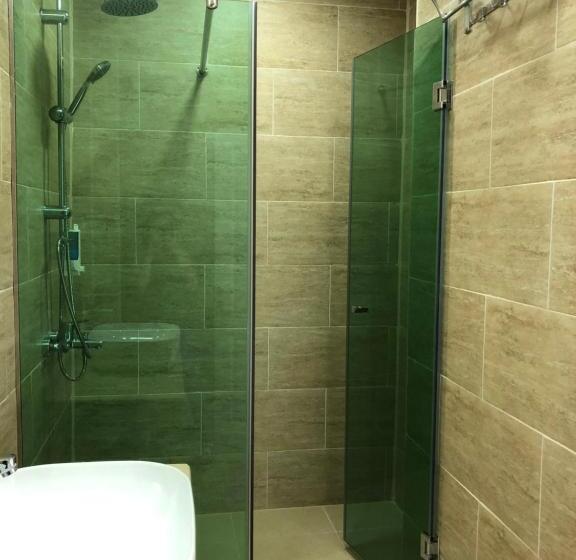 غرفة كومفورت ثلاثية, Magnetiti