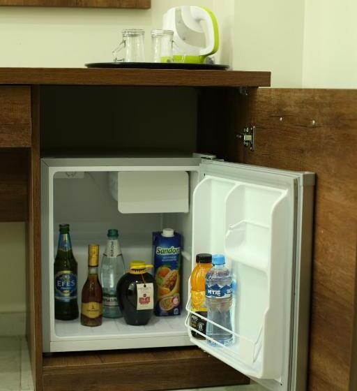 غرفة قياسية ثلاثية مزودة بتراس, Magnetiti