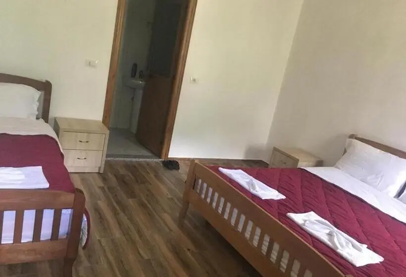 اتاق کلاسیک سه تخته, Bujtina Ziçi
