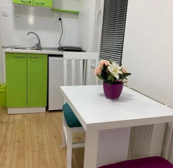 استودیوی استاندارد, La Apartamento Centroom