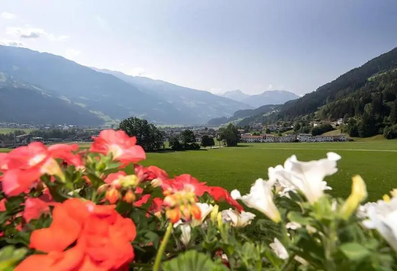 Standard-studio Parveke, Pension Wiesenhof