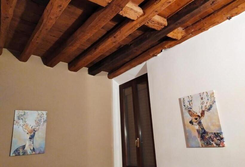 デラックスルーム, Carducci 49