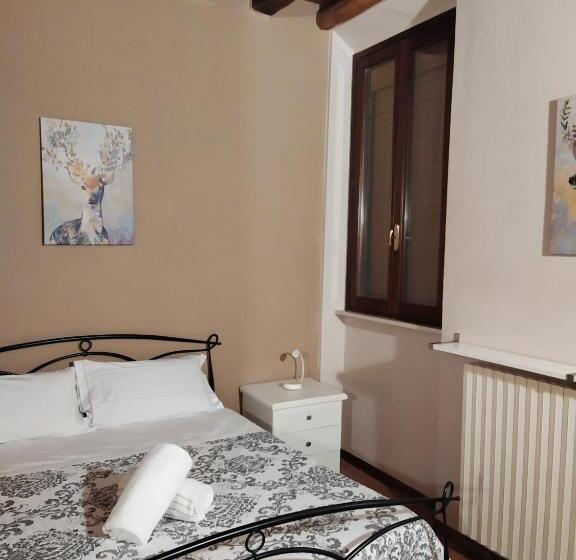 デラックスルーム, Carducci 49