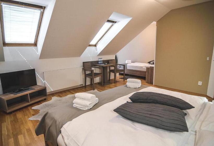 Апартаменты Superior 1 Спальня, Penzion Pod Radnicí