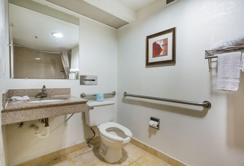 اتاق استاندارد, Budgetel Inns & Suites  Atlanta Galleria Stadium