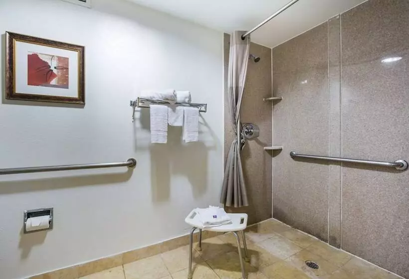 スタンダードルーム, Budgetel Inns & Suites Atlanta Galleria Stadium