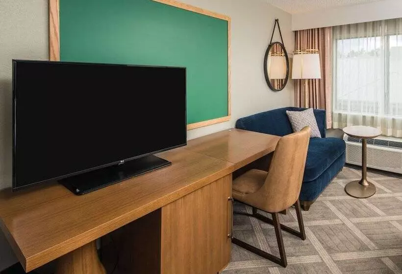 バルコニー付きデラックスルーム, Doubletree By Hilton Gainesville