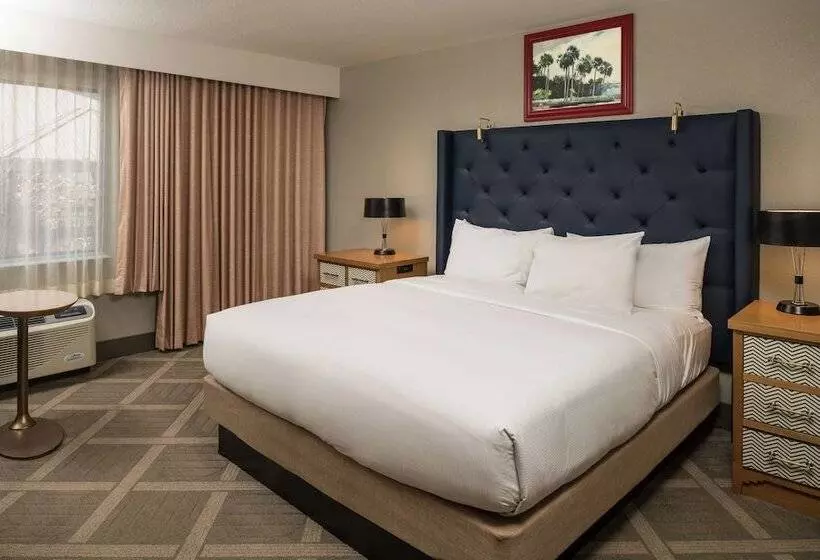 バルコニー付きデラックスルーム, Doubletree By Hilton Gainesville