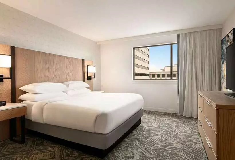 キングサイズベッドのスタンダードルーム, Doubletree By Hilton Gainesville