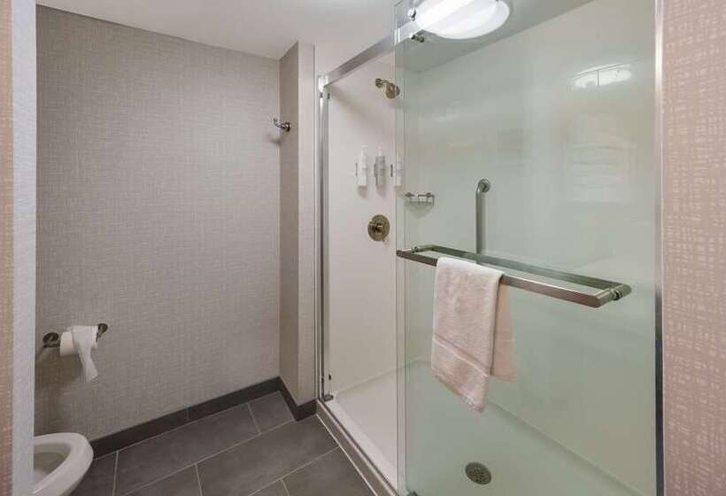 غرفة قياسية سرير كينج لذوى الإحتياجات الخاصة, Doubletree By Hilton Gainesville