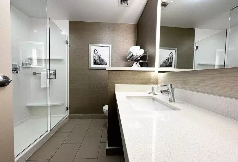 سوییت, Fairfield Inn & Suites By Marriott Denver Downtown