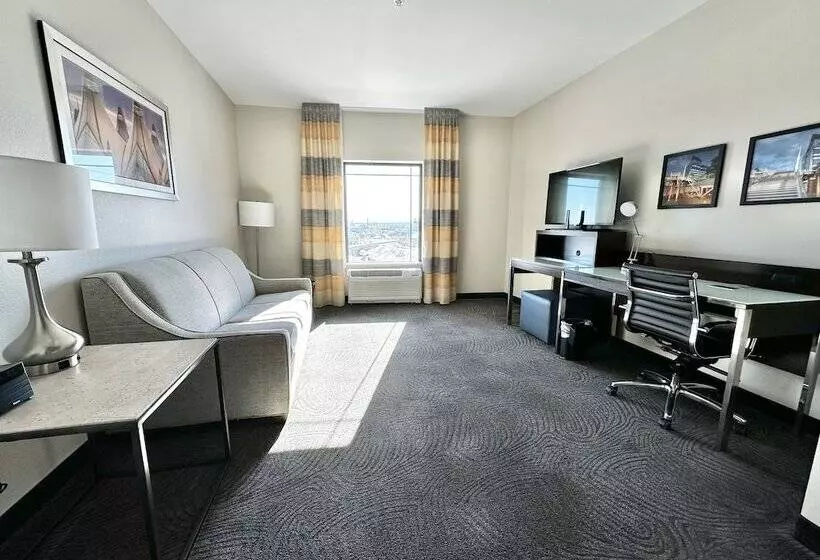 سوییت, Fairfield Inn & Suites By Marriott Denver Downtown