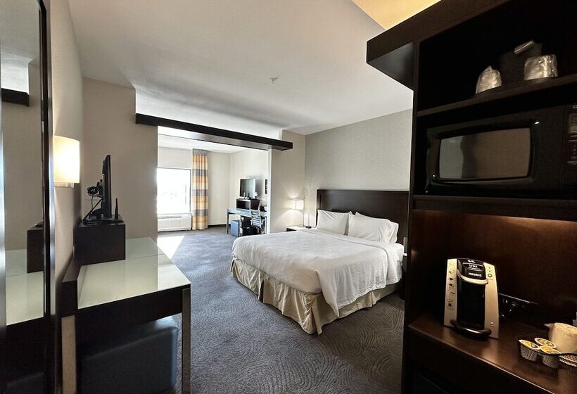 سوییت, Fairfield Inn & Suites By Marriott Denver Downtown