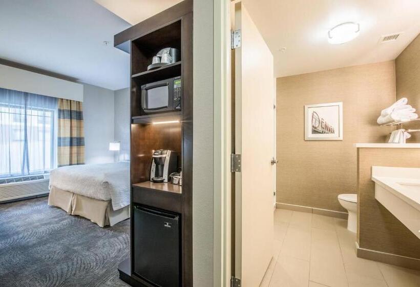 Стандартный Номер Кровать Кинг, Fairfield Inn & Suites By Marriott Denver Downtown