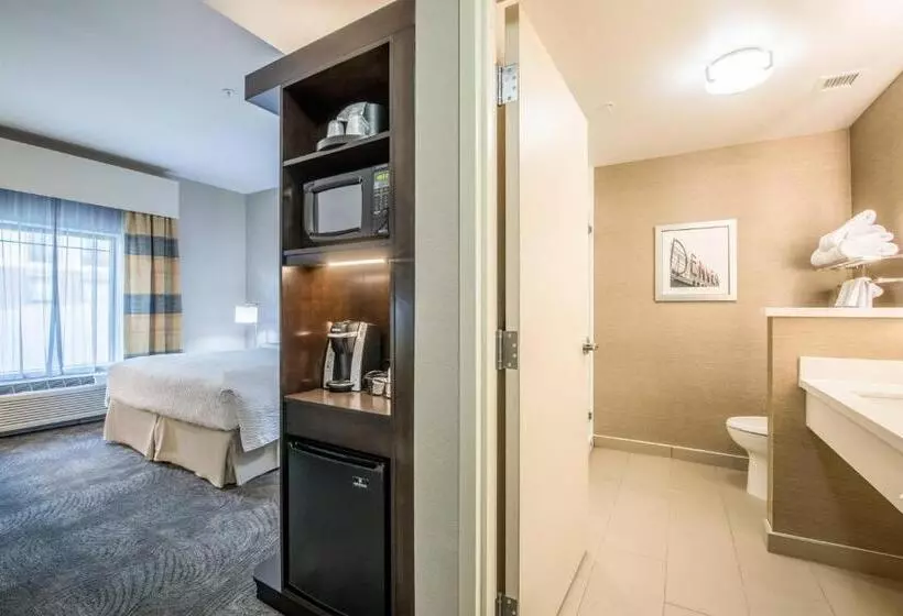 اتاق استاندارد با تخت بزرگ, Fairfield Inn & Suites By Marriott Denver Downtown