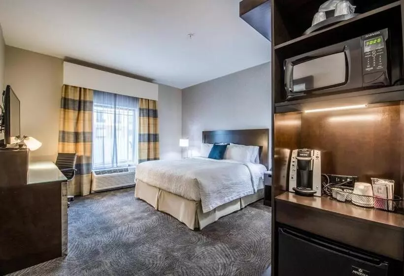 اتاق استاندارد با تخت بزرگ, Fairfield Inn & Suites By Marriott Denver Downtown