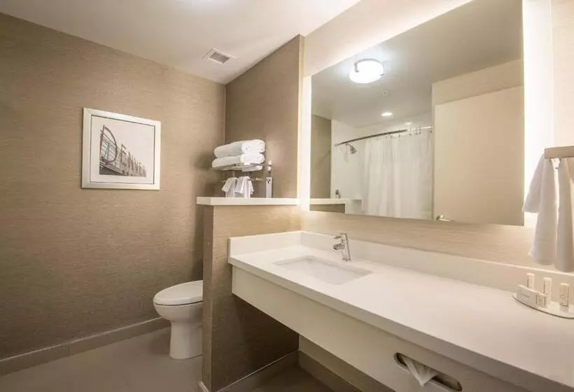 اتاق استاندارد, Fairfield Inn & Suites By Marriott Denver Downtown