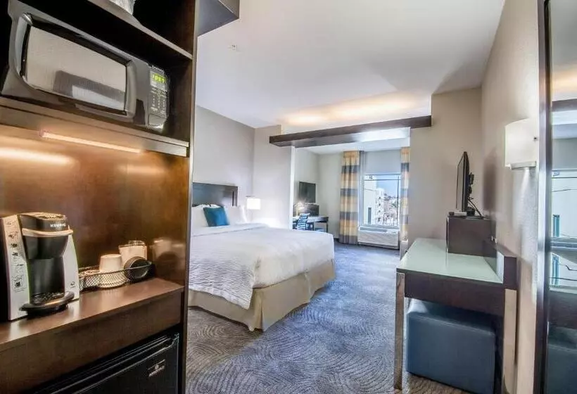 سوئیت با تخت بزرگ, Fairfield Inn & Suites By Marriott Denver Downtown