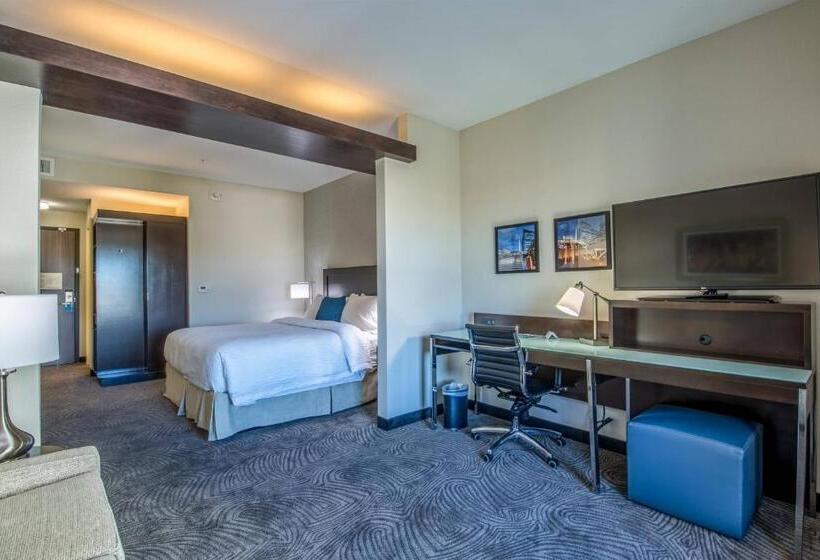 Люкс Кровать Кинг, Fairfield Inn & Suites By Marriott Denver Downtown