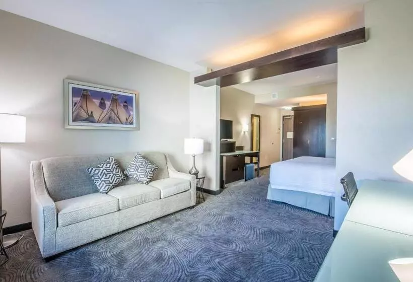 سوئیت با تخت بزرگ, Fairfield Inn & Suites By Marriott Denver Downtown