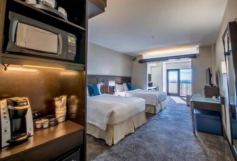 Люкс, Fairfield Inn & Suites By Marriott Denver Downtown