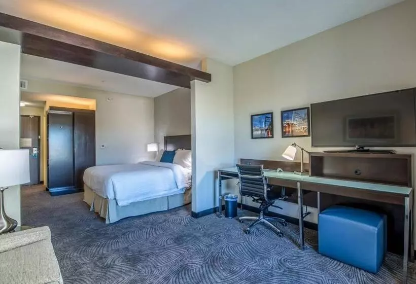 سوییت اجرایی, Fairfield Inn & Suites By Marriott Denver Downtown