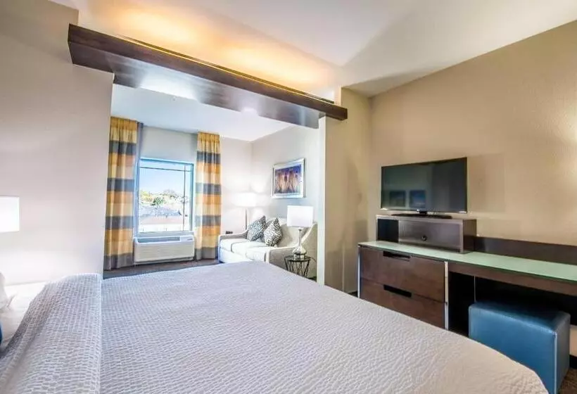 سوییت اجرایی, Fairfield Inn & Suites By Marriott Denver Downtown