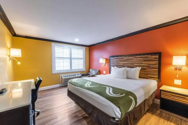 身障者適用キングサイズベッドルーム, Quality Inn & Suites
