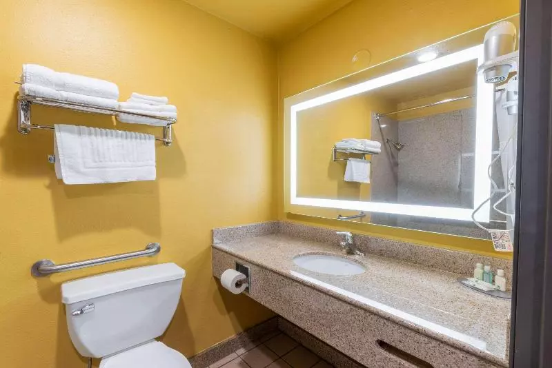 身障者適用キングサイズベッドルーム, Quality Inn & Suites