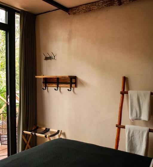 اتاق استاندارد با سرویس بهداشتی مشترک, Bufo Alvarius